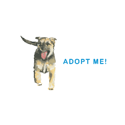 animaladoptioncenterjh puppy adopt animal rescue aac Sticker