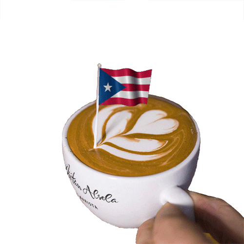 Puerto Rico Barista GIF by Dritan Alsela Coffee