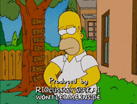 homer simpson episode 3 GIF