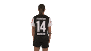 Turn Sge Sticker by Eintracht Frankfurt