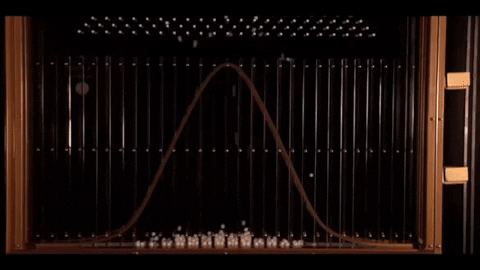 janellebosek giphygifmaker GIF