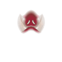 Uofa Sticker by UARK NSFP