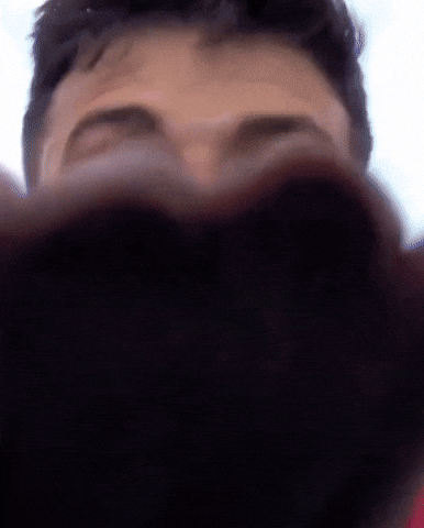 Knock Knock Bologna GIF