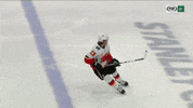 Stanley Cup Playoffs Hockey GIF by FOX Sports Southwest