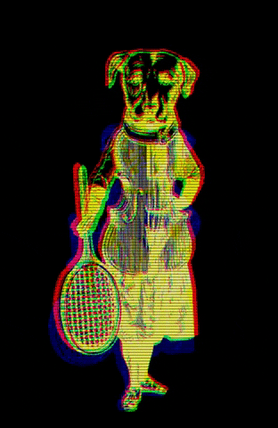 Walliserhof giphygifmaker dog tennis wh GIF