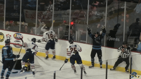 Happy Fired Up GIF by Quad City Storm