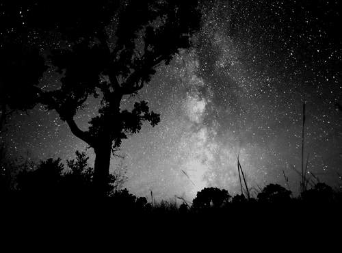 black and white night GIF