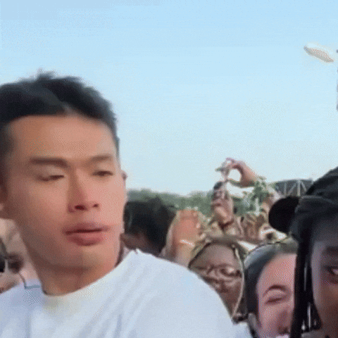 Lollapalooza GIF by Respective