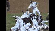 nyy GIF by MLB