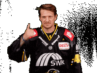 Del2 Kev Sticker by Krefeld Pinguine