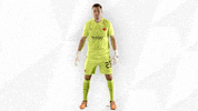Dance Football GIF by SK Slavia Praha