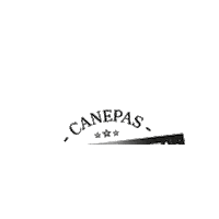 Promo Oferta Sticker by automotoracanepas