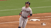 major league baseball 2019 mlb regular season GIF by MLB