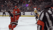 Happy Anaheim Ducks GIF by NHL