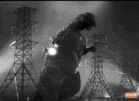 King Of The Monsters Godzilla GIF by Turner Classic Movies