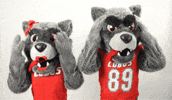 New Mexico Lucy GIF by UNM
