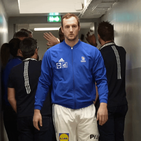 Ffhandball GIF by Fédération Française de Handball