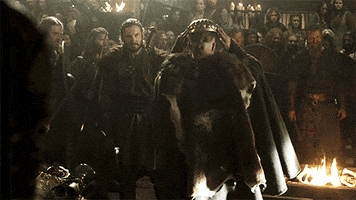season 1 vikings GIF by HISTORY
