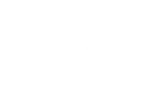 Bracelet Aquarius Sticker by Rastaclat Bracelets