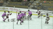 College Hockey Ncaa GIF by Boston College Athletics