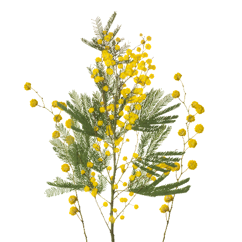 Sticker by pureencapsulations_de