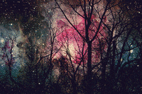 colors stars GIF