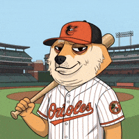Baltimore Orioles Dog GIF by Doge Pound