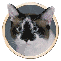 Licking Cat Food Sticker by Sheba Official