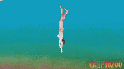 Dash Shaw Animation GIF by Magnolia Pictures