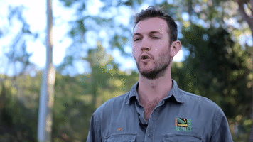 Australian Zookeepers Undertake Dangerous Alligator Health Checks Ahead of Winter