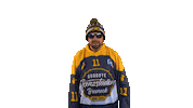 Hockey Win Sticker by HC Pustertal Wolves