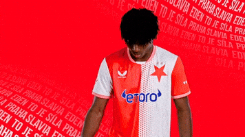 Football Celebrate GIF by SK Slavia Praha