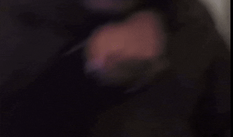 Thog GIF