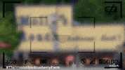 Fall Love GIF by Hallmark Channel