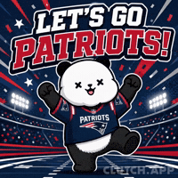 New England Patriots Football GIF by Kanpai Pandas