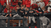 Major League Baseball Sport GIF by MLB