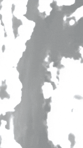 Simongip giphyupload GIF