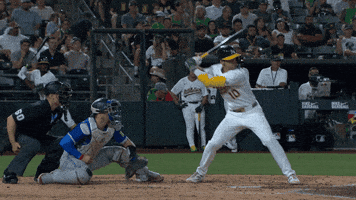 Blue Jays Baseball GIF by Toronto Blue Jays