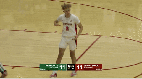 college basketball GIF by America East