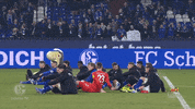 Football Soccer GIF by FC Schalke 04