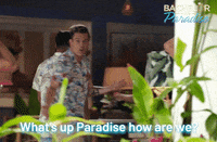 bachelorinparadiseau island bachelor paradise fiji GIF
