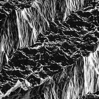 Black And White Art GIF by Pi-Slices