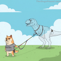 Shiba Inu Lol GIF by Doge Pound