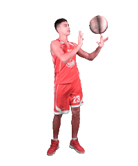 Basketball Sticker by asbasket