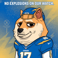 Shiba Inu Football GIF by Doge Pound