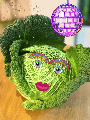 Party Disco GIF
