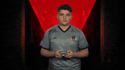 Winner Win GIF by Bundesliga