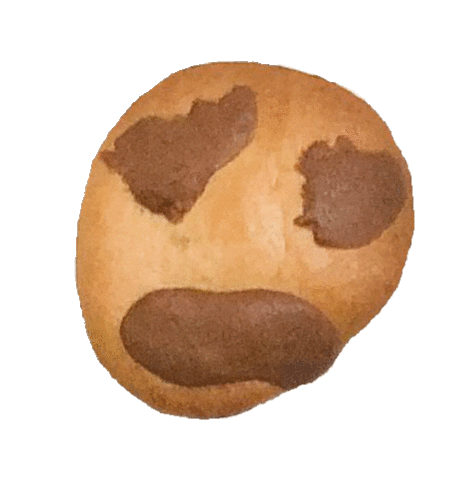 Cafe Cookie Sticker