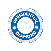 Recognition Trusttheprocess Sticker by JIFU