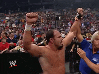 wwe sports wwe wrestling summerslam GIF